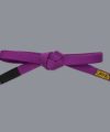 Scramble BJJ Belt V3 - Purple