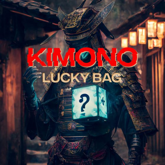 New Year Lucky Bag - "Kimono"